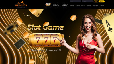 에르메스 3920만원 먹튀