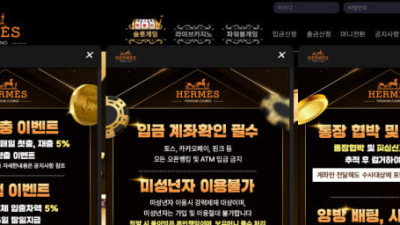 에르메스 먹튀사이트 3920만원